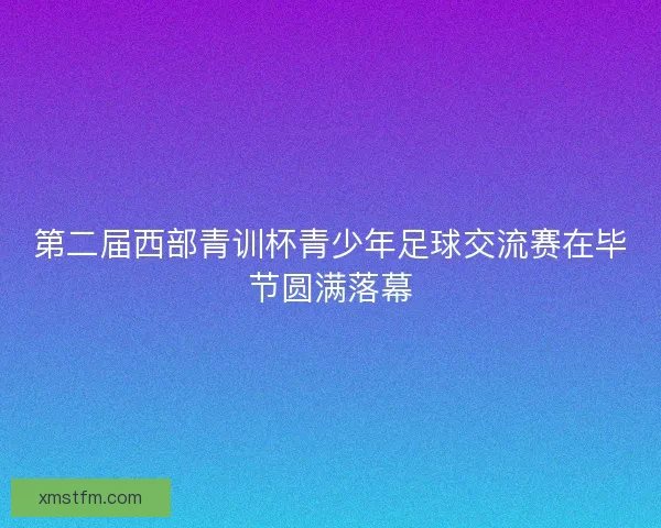 第二届西部青训杯青少年足球交流赛在毕节圆满落幕
