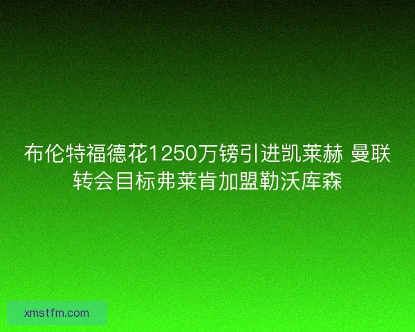 布伦特福德花1250万镑引进凯莱赫 曼联转会目标弗莱肯加盟勒沃库森